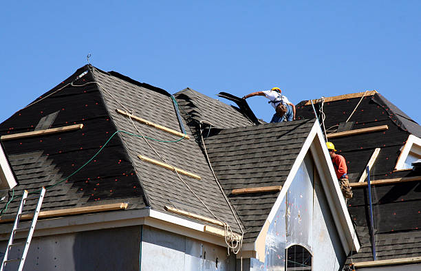Best Roof Insulation Installation  in Exmore, VA